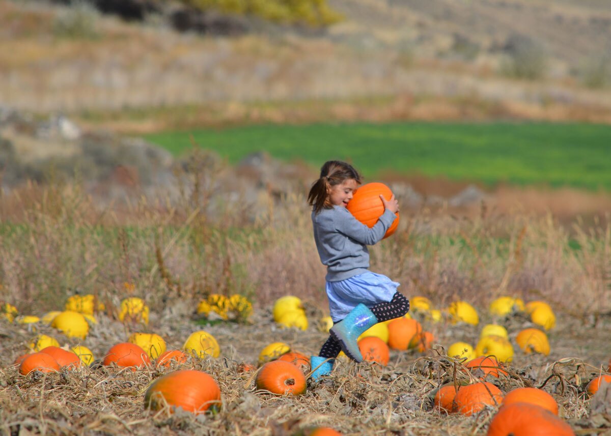 Girl with pumpkin. Photo: Barbara Roden